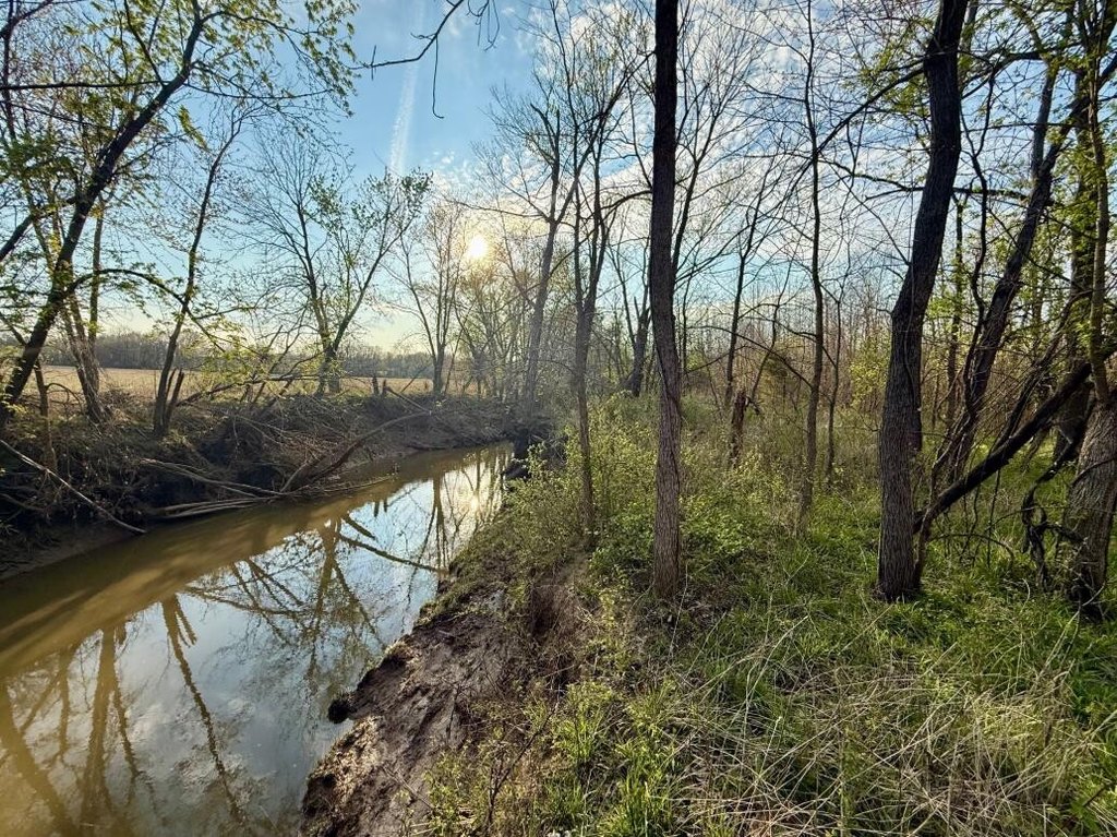 Picture 25