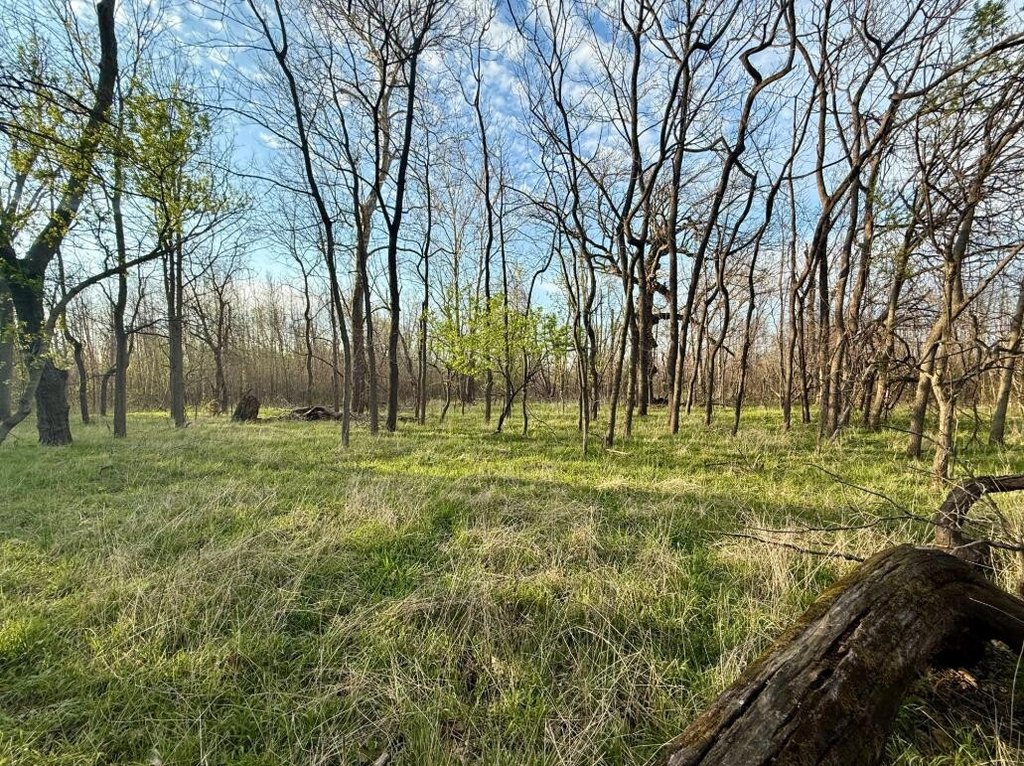 Picture 28