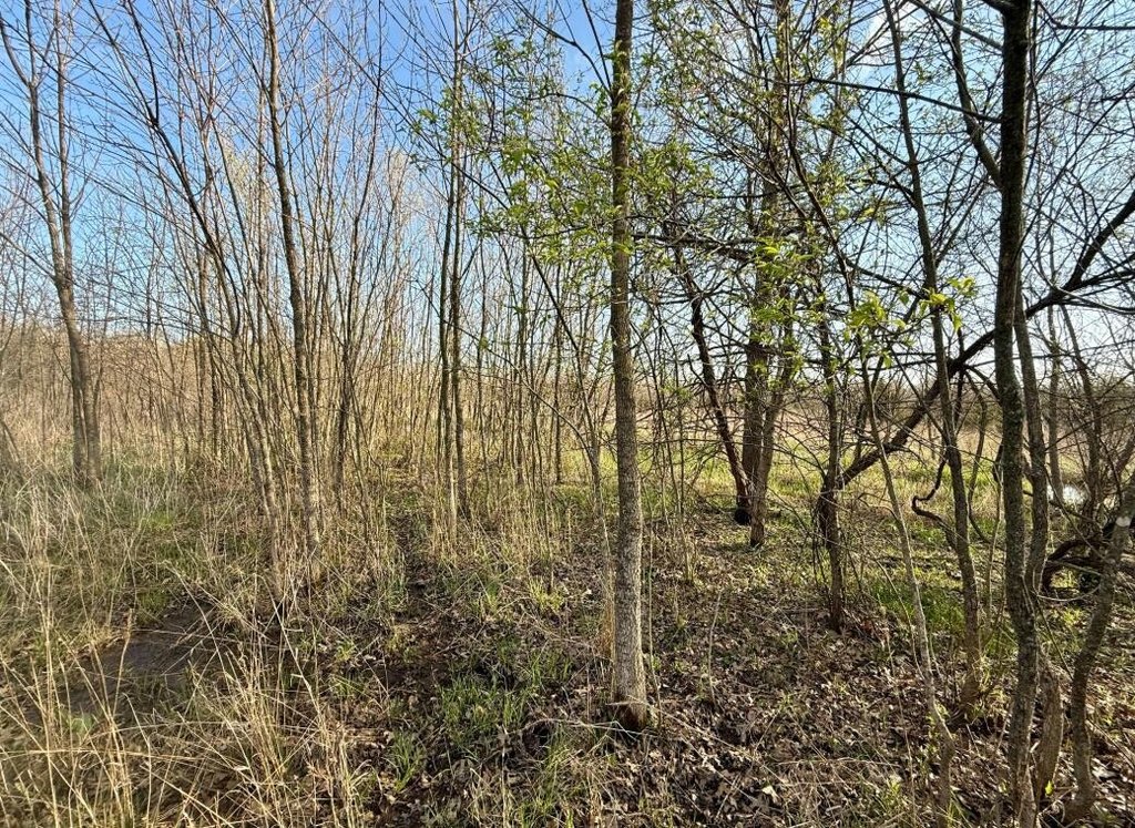 Picture 19