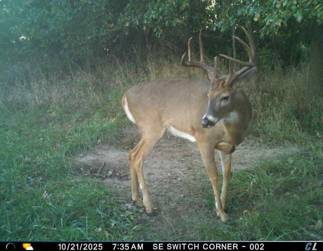 Picture 45