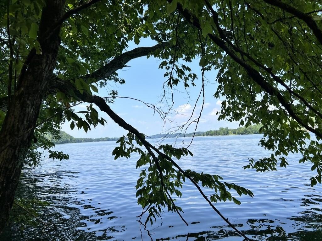 Picture 5