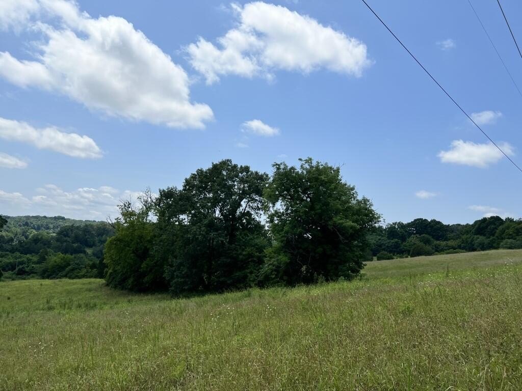 Picture 18