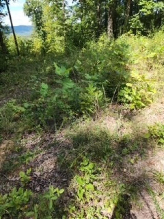 Picture 13