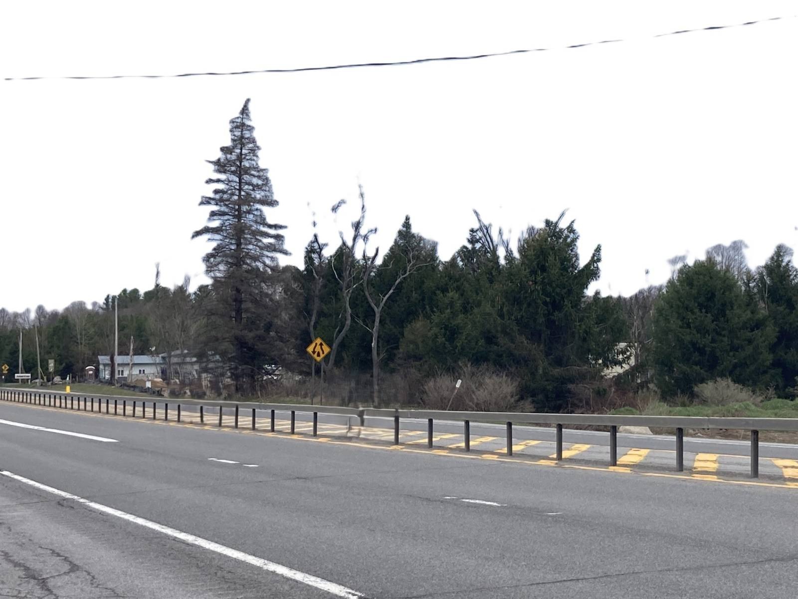 Commercial Lot on State Route
