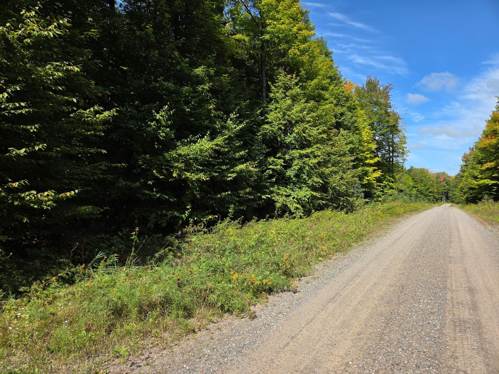 Iron River Land with Acreage