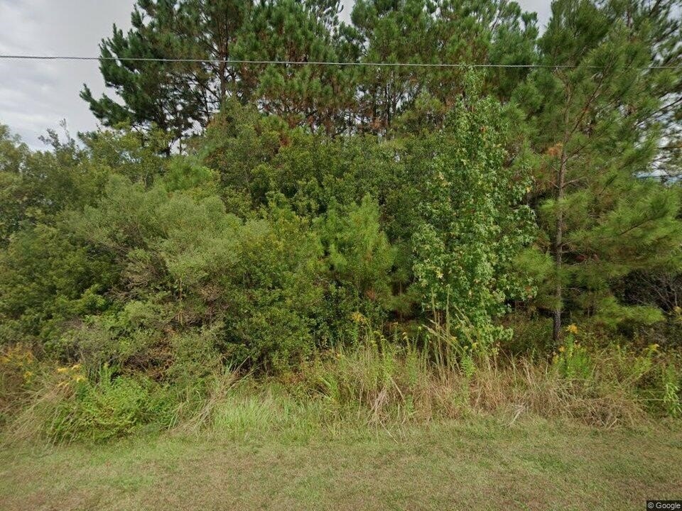Picture 3