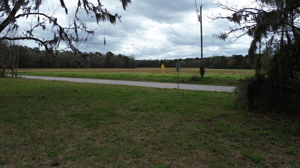 Picture 4