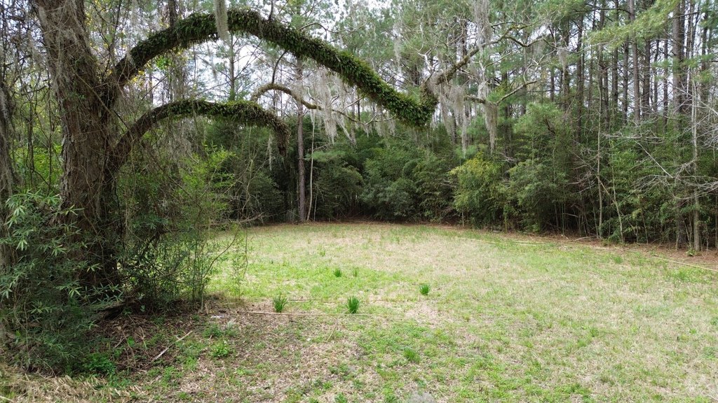 Picture 25