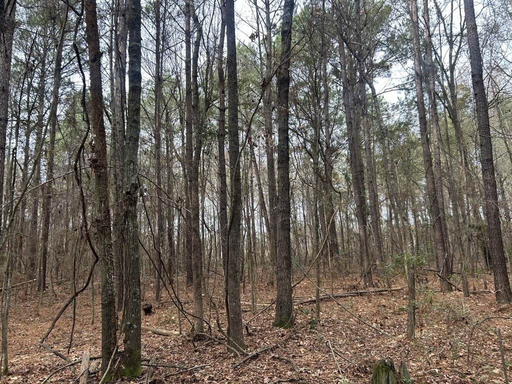 Picture 18