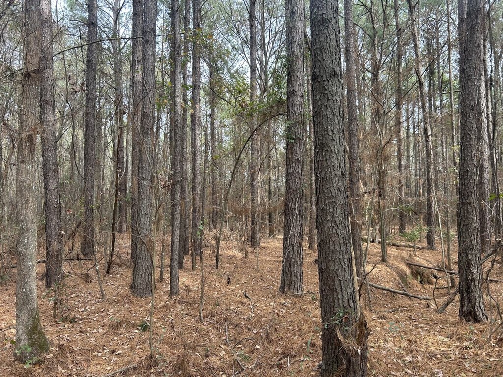 Picture 16