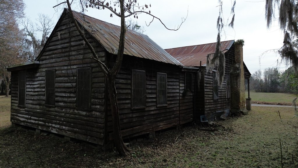 Picture 11