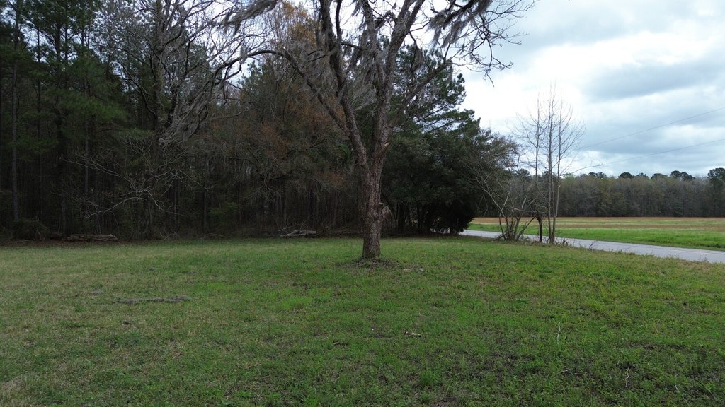 Picture 5