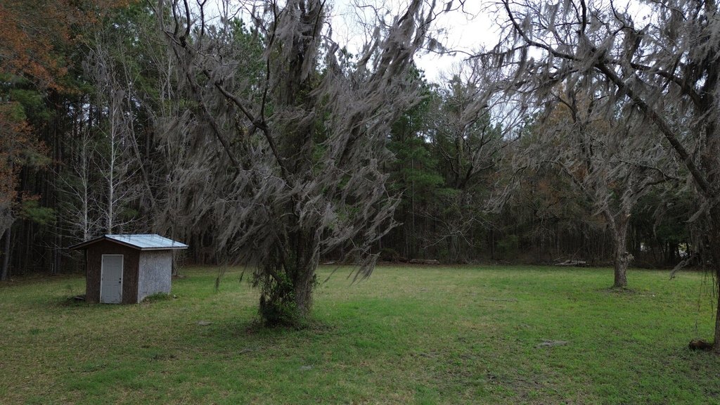 Picture 3