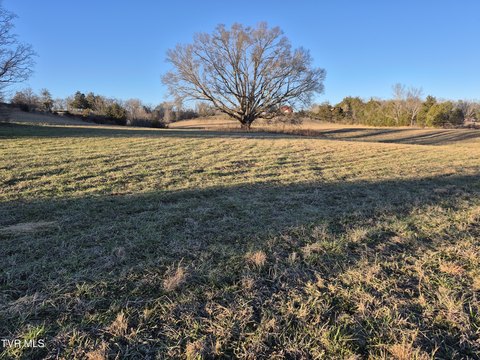 LAND - Mosheim, TN