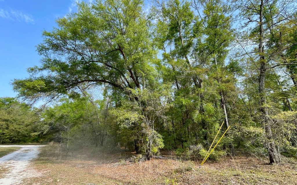 Picture 7