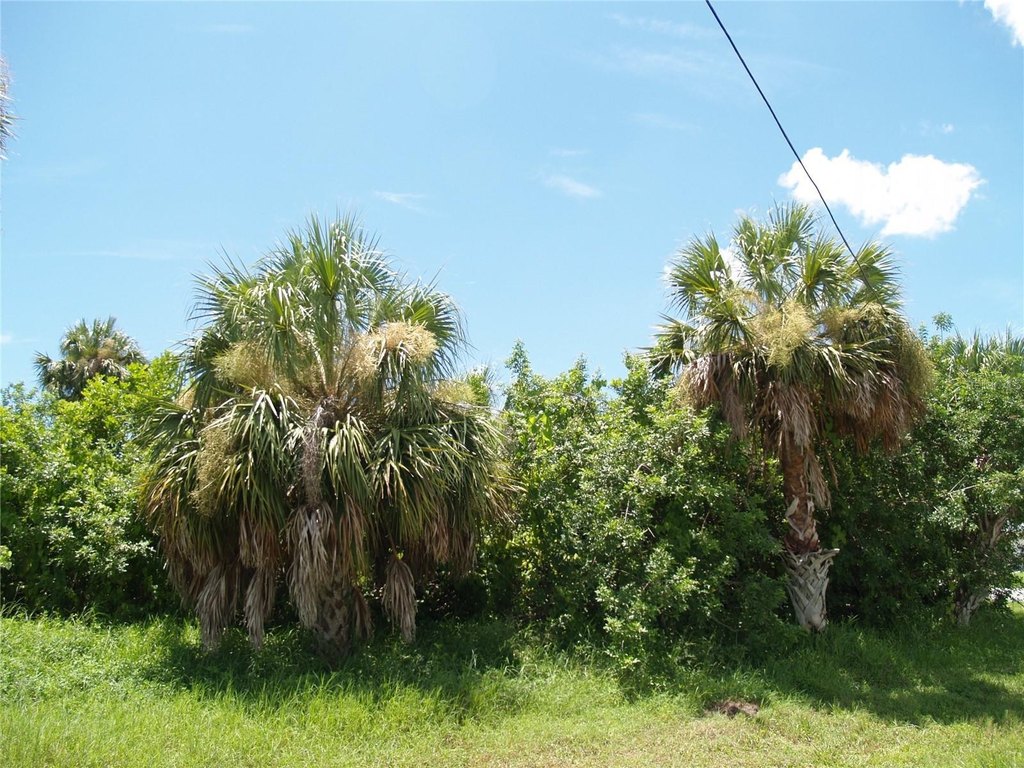 Picture 17