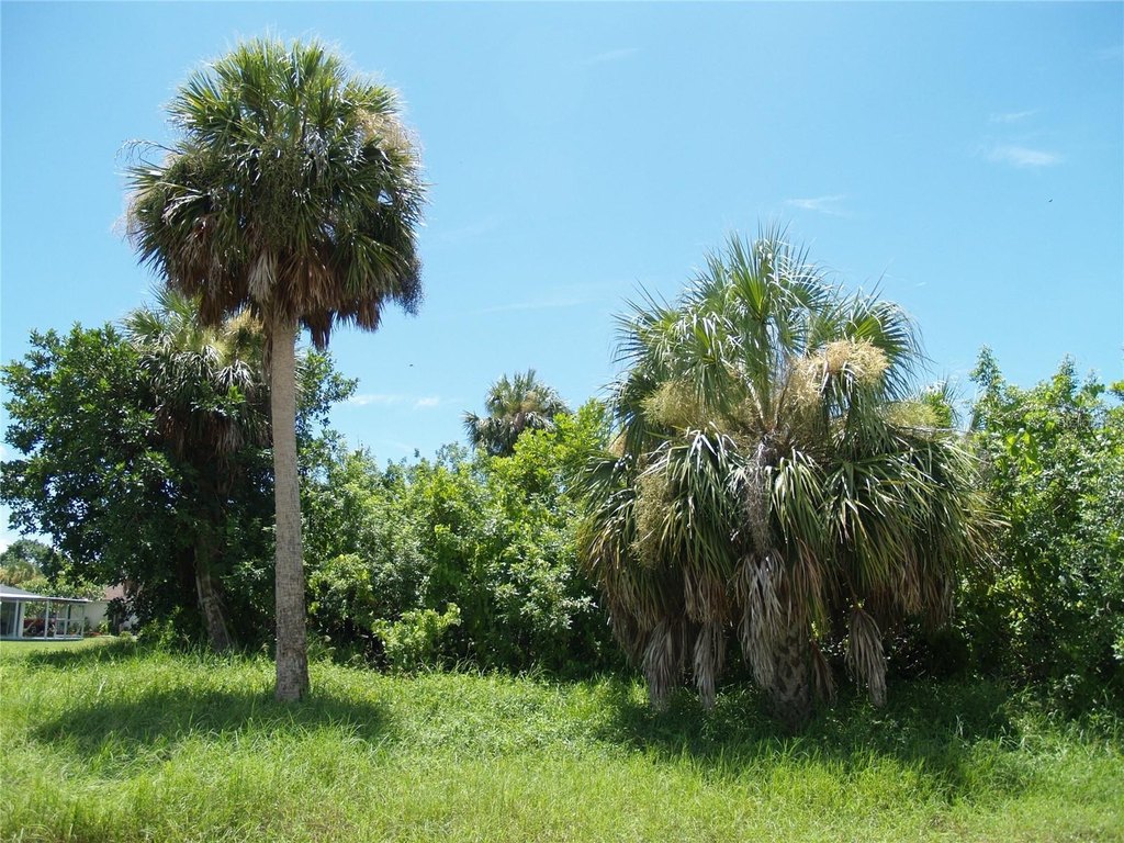 Picture 16