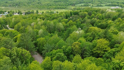 Residential Wooded Building Lot