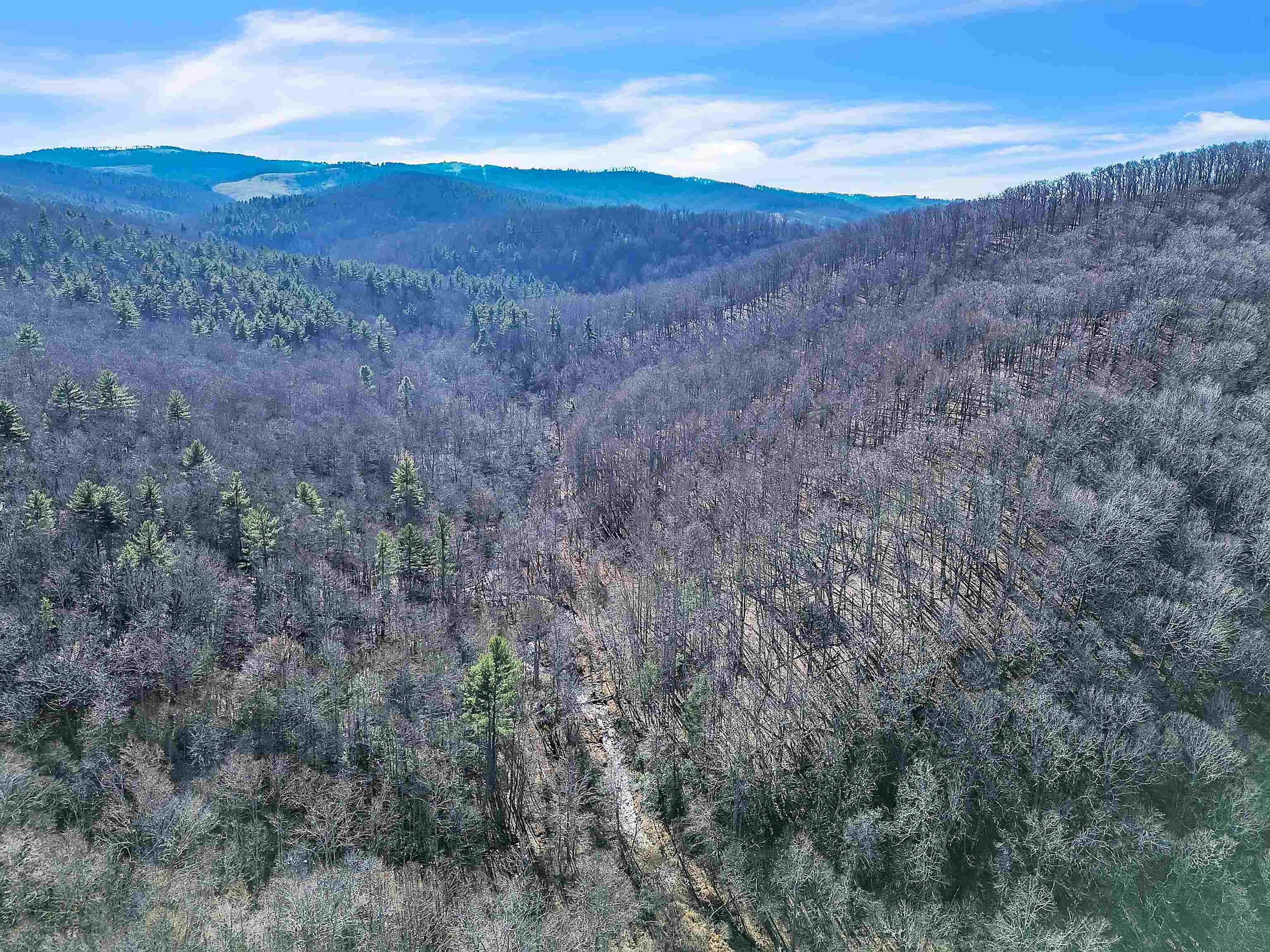 Floyd, VA Land with Creek