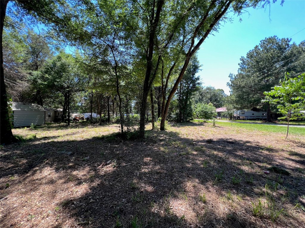 Picture 19