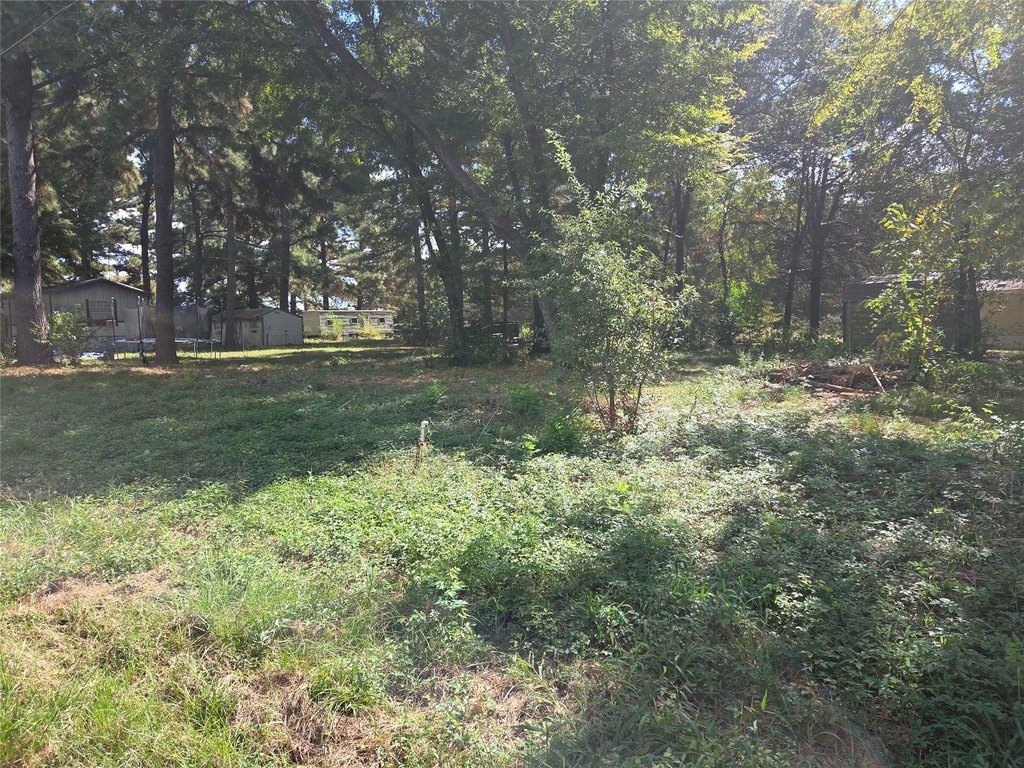 Picture 12