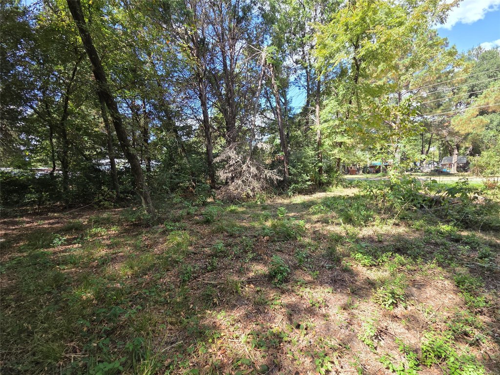 Picture 21