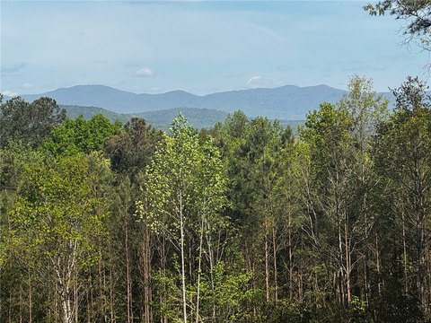 Salem, SC Mountain View Lot