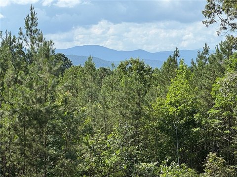 Salem, SC Mountain View Lot