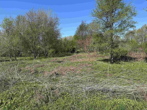 LOTS AND LAND, New Carlisle, IN
