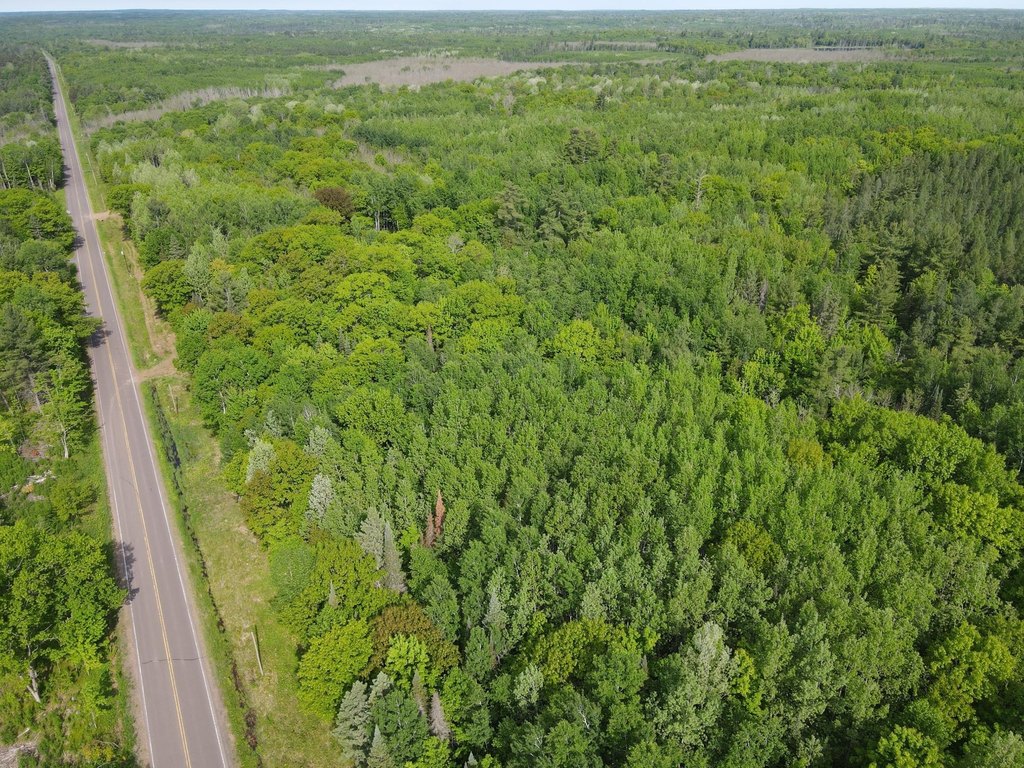 Picture 25
