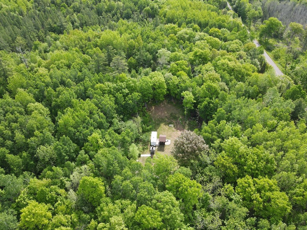 Picture 4