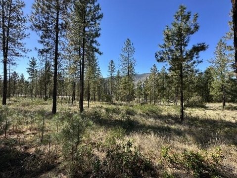 Land, KETTLE FALLS, WA