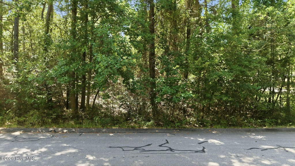 Picture 4