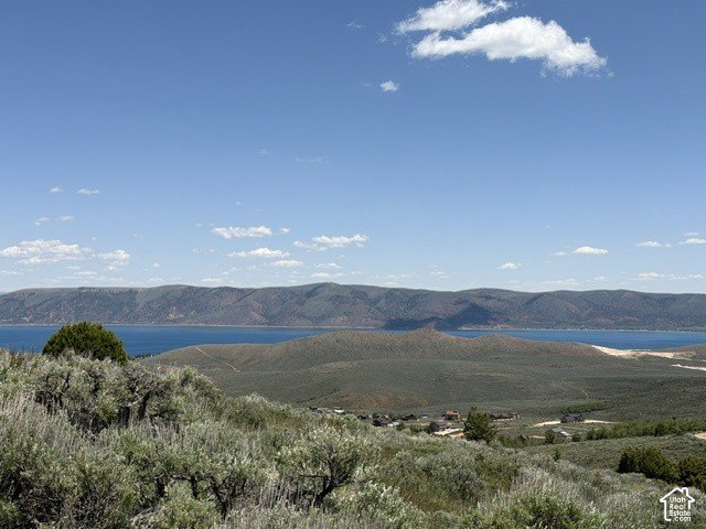 Picture 7