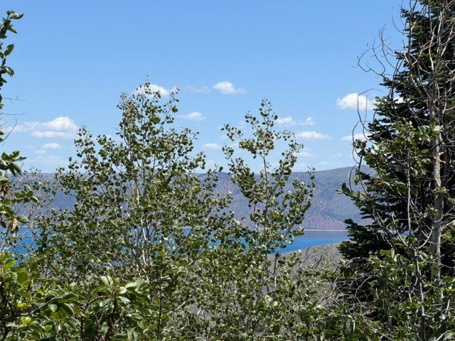 Picture 2