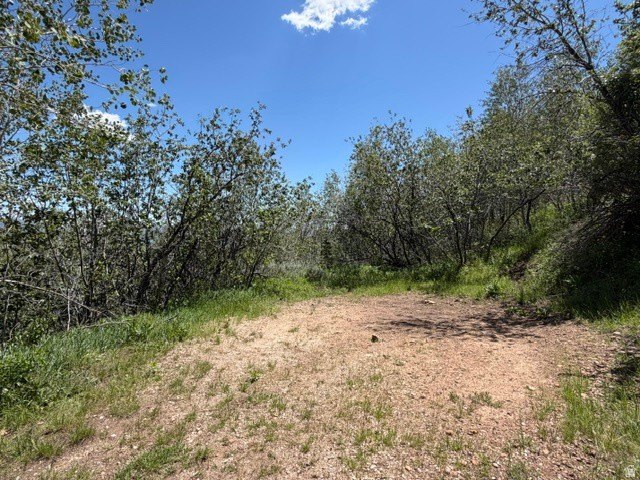 Picture 4