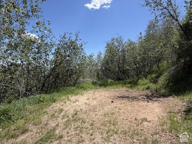 Picture 4