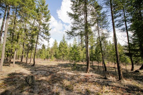 5 Acres on Kootenai River