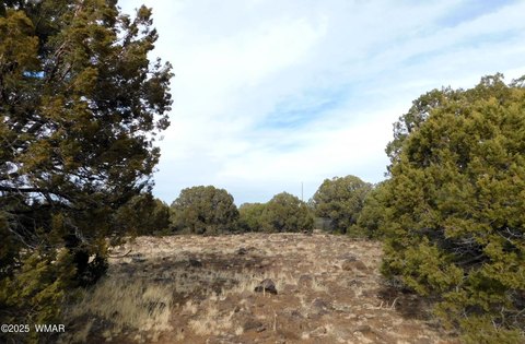 20 Acres in Vernon, AZ