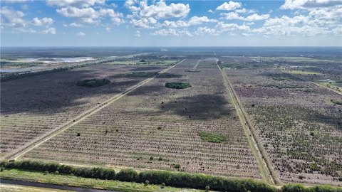 Fellsmere Land for Sale