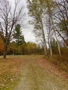 Open Lot in Phillips, Maine