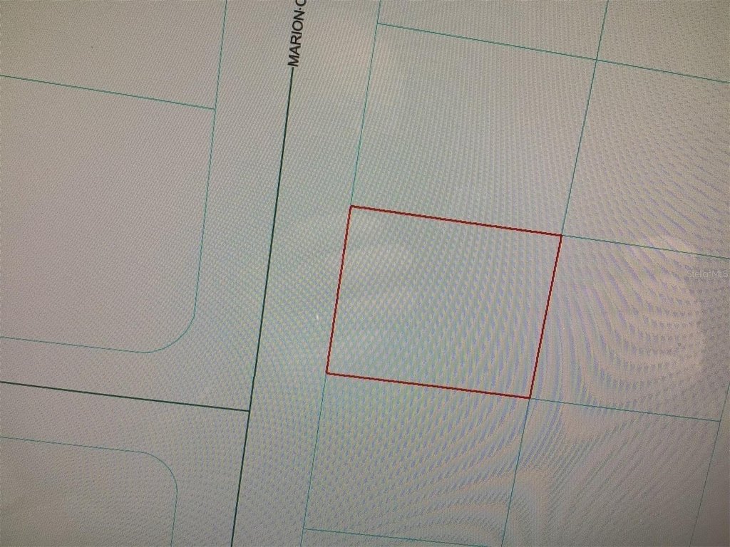 Picture 4