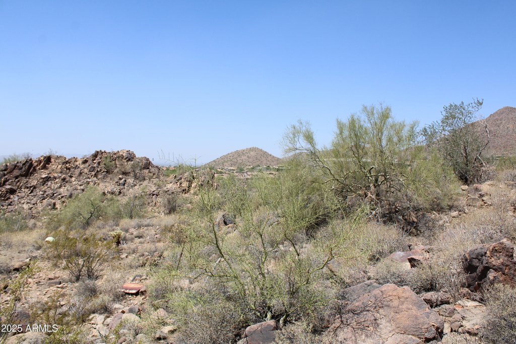 Picture 17