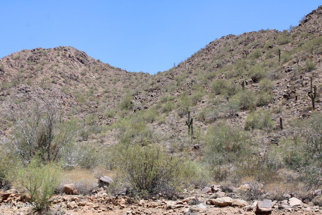 Picture 25