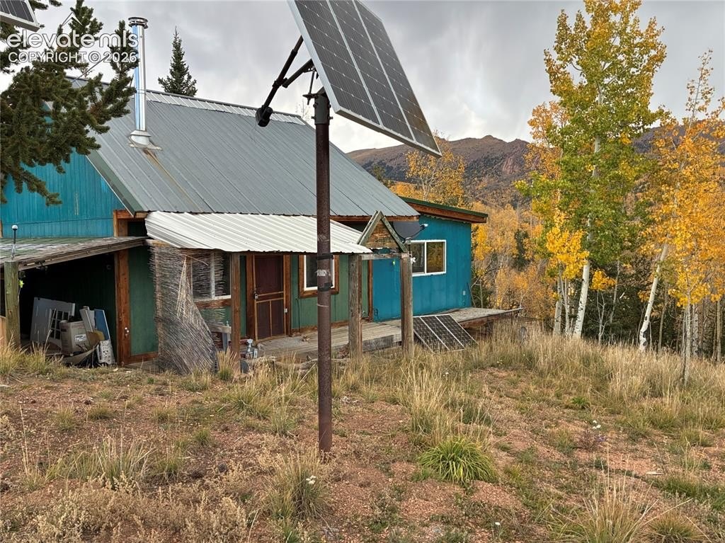 Picture 8