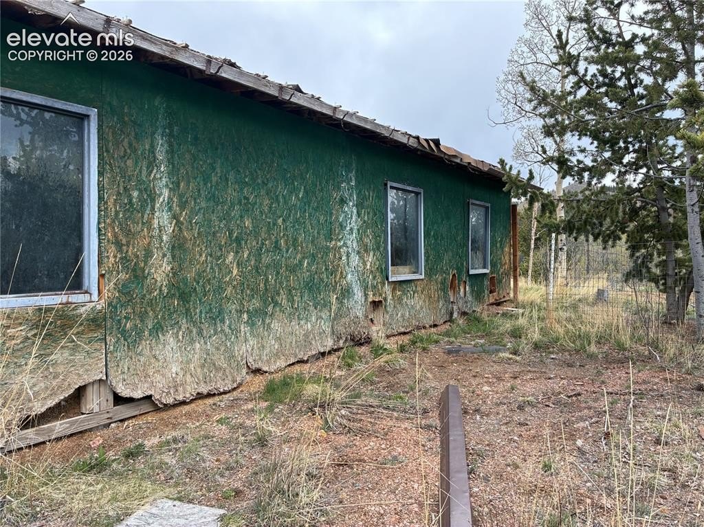 Picture 23