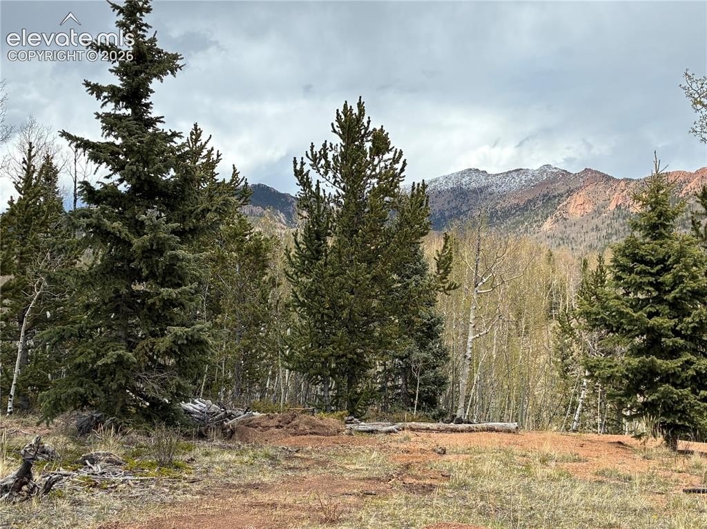 Picture 20