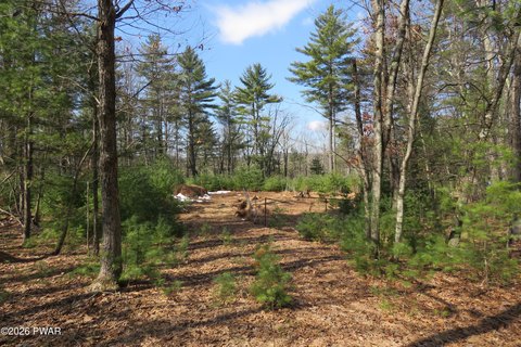 Land Near Lake Wallenpaupack