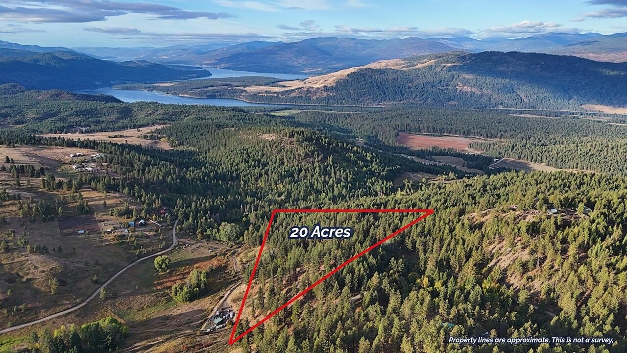 Timbered Land with Recreational Potential