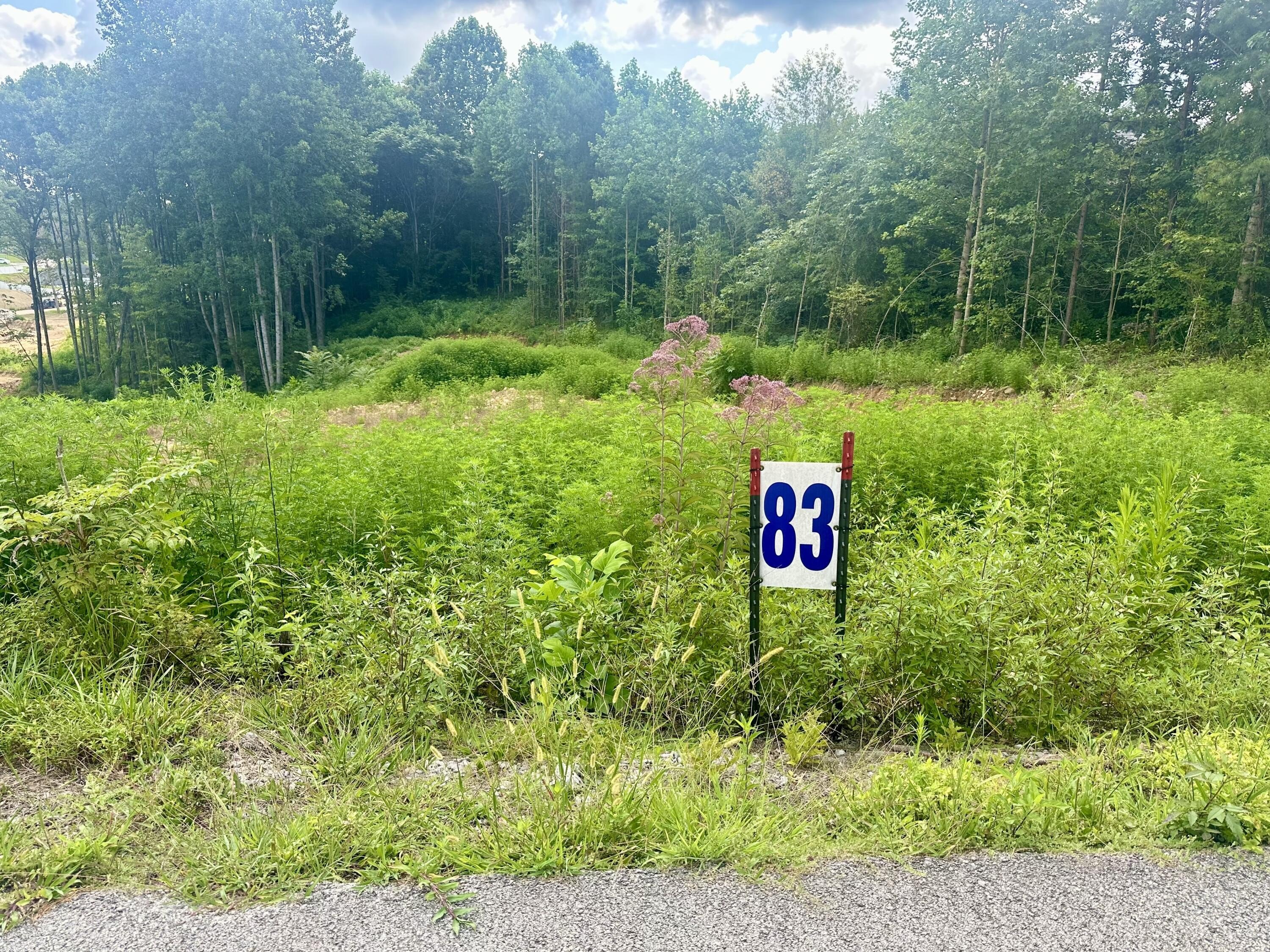Residential Building Lots in Corbin